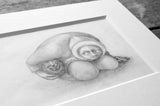 Hiding the Hedgehog (a Rima Staines original)