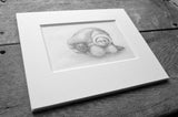 Hiding the Hedgehog (a Rima Staines original)